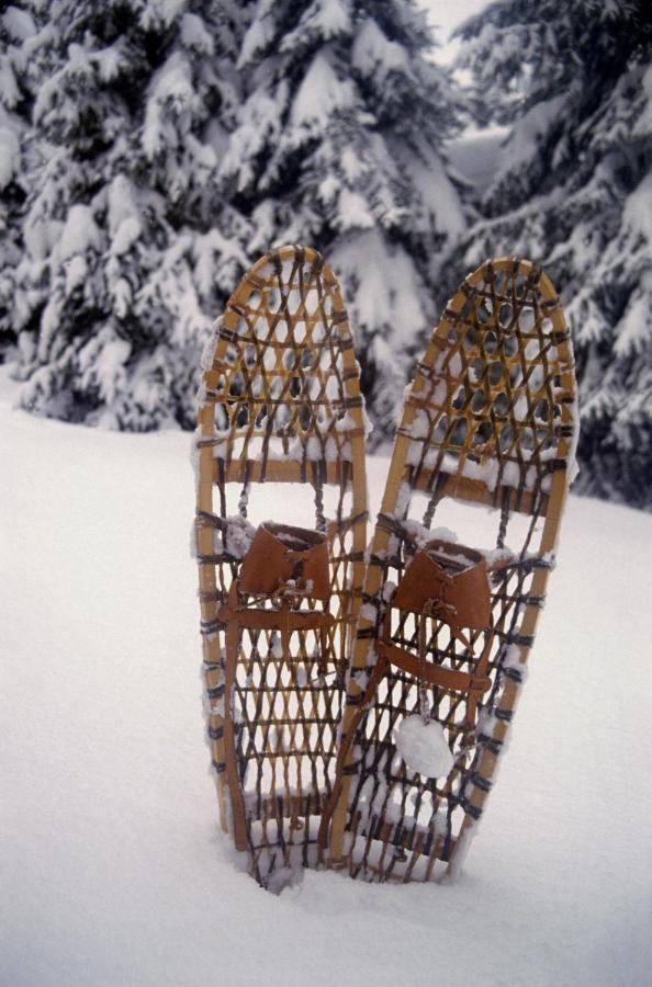 Hotel Brunnenhof Neustift im Stubaital Esterno foto